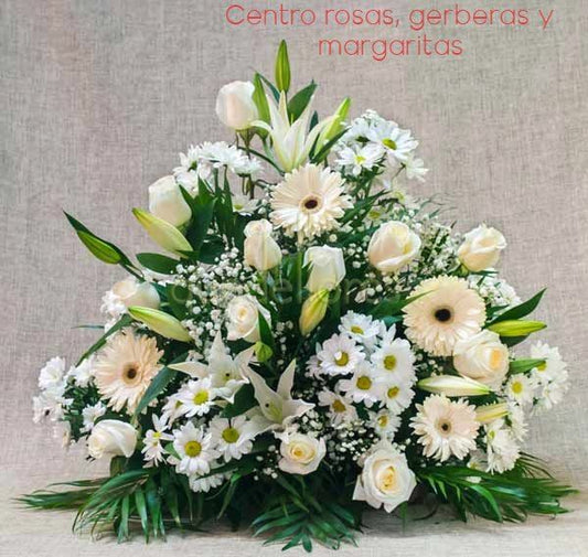 CENTRO TL 12 ZN 2